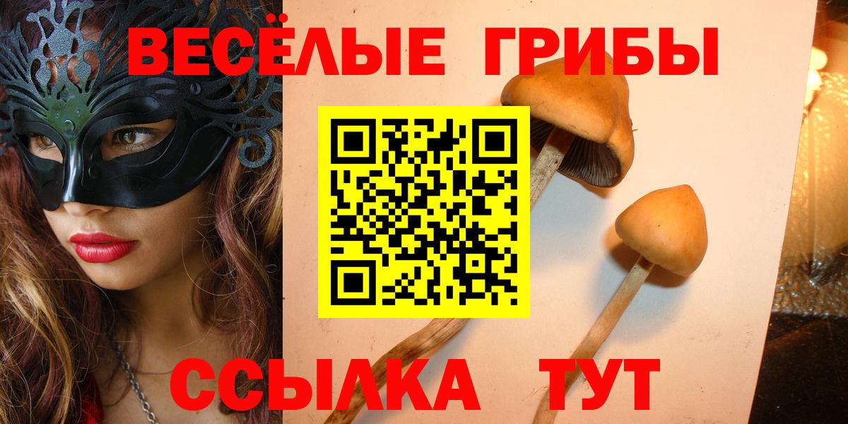 Псилоцибиновые грибы прущие грибы Тара