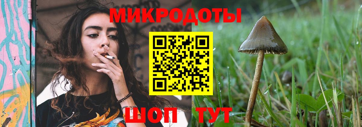 Псилоцибиновые грибы MAGIC MUSHROOMS  где продают   Тара  Вход с VPN  Галлюциногенные грибы прущие грибы 